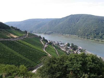 Rheingau - Bild von Luidger (wikipedia.de)